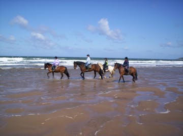 Mullacott Equestrian Centre