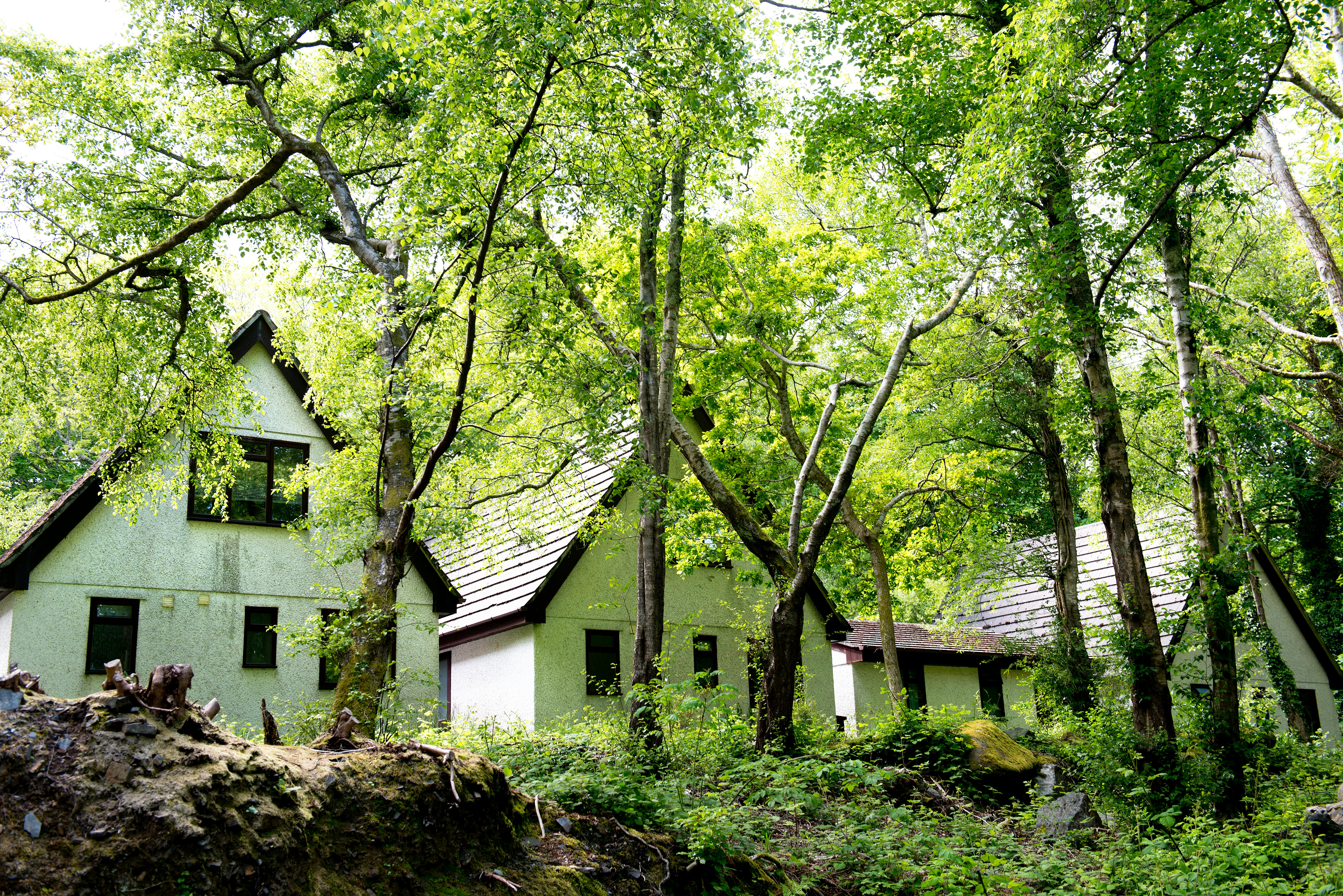 3 Bed Bronze Woodland Chalet Pet