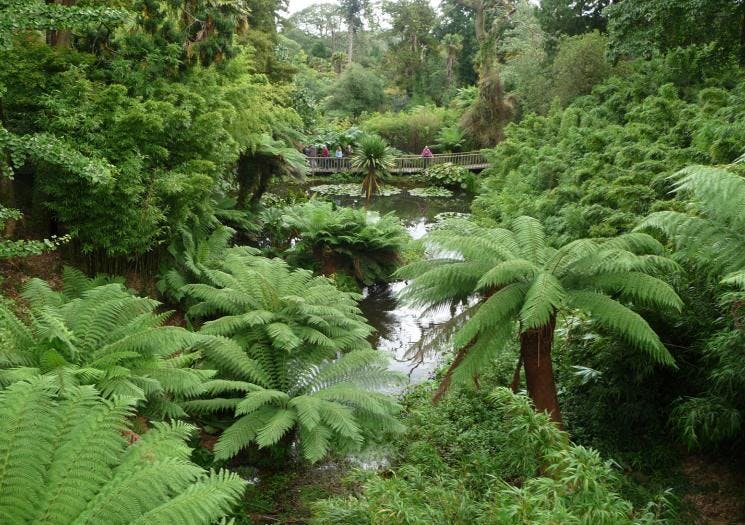 Lost Gardens of Heligan