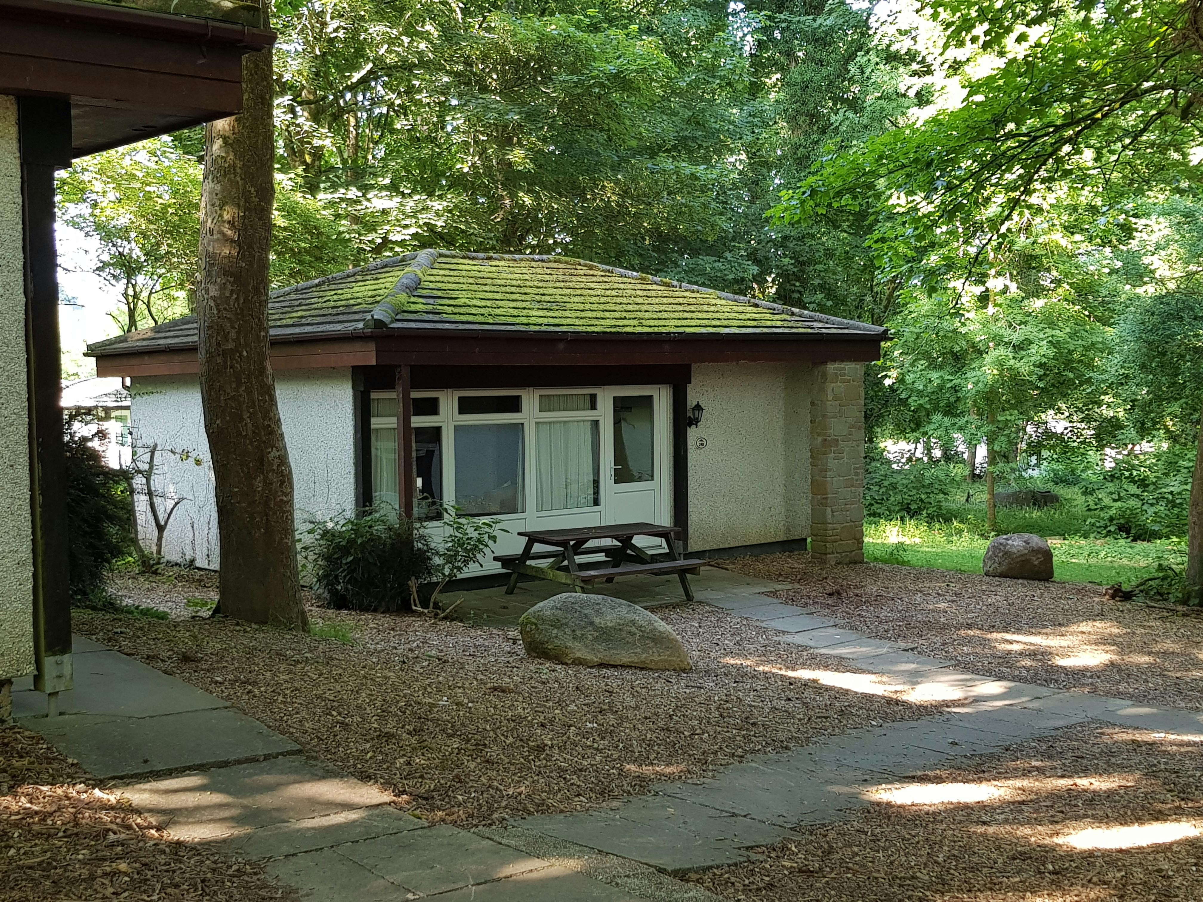 Bronze woodland bungalow Pet | St Ives