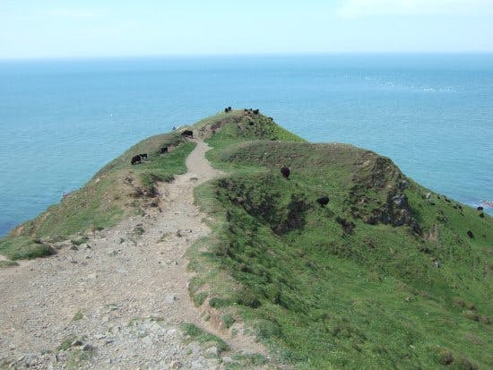 Baggy Point Circular Walk