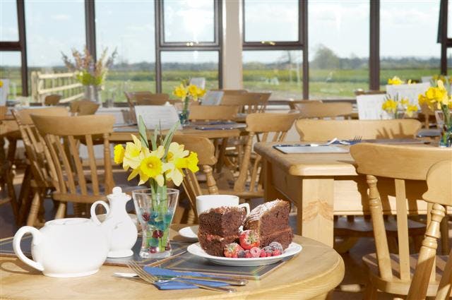 Lakeside Cabin Cafe