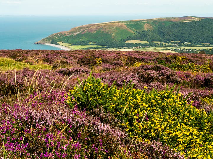 Exmoor National Park