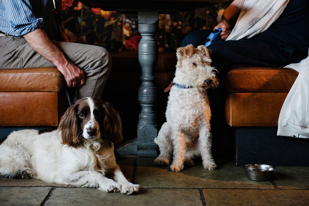 Dog Friendly Pubs