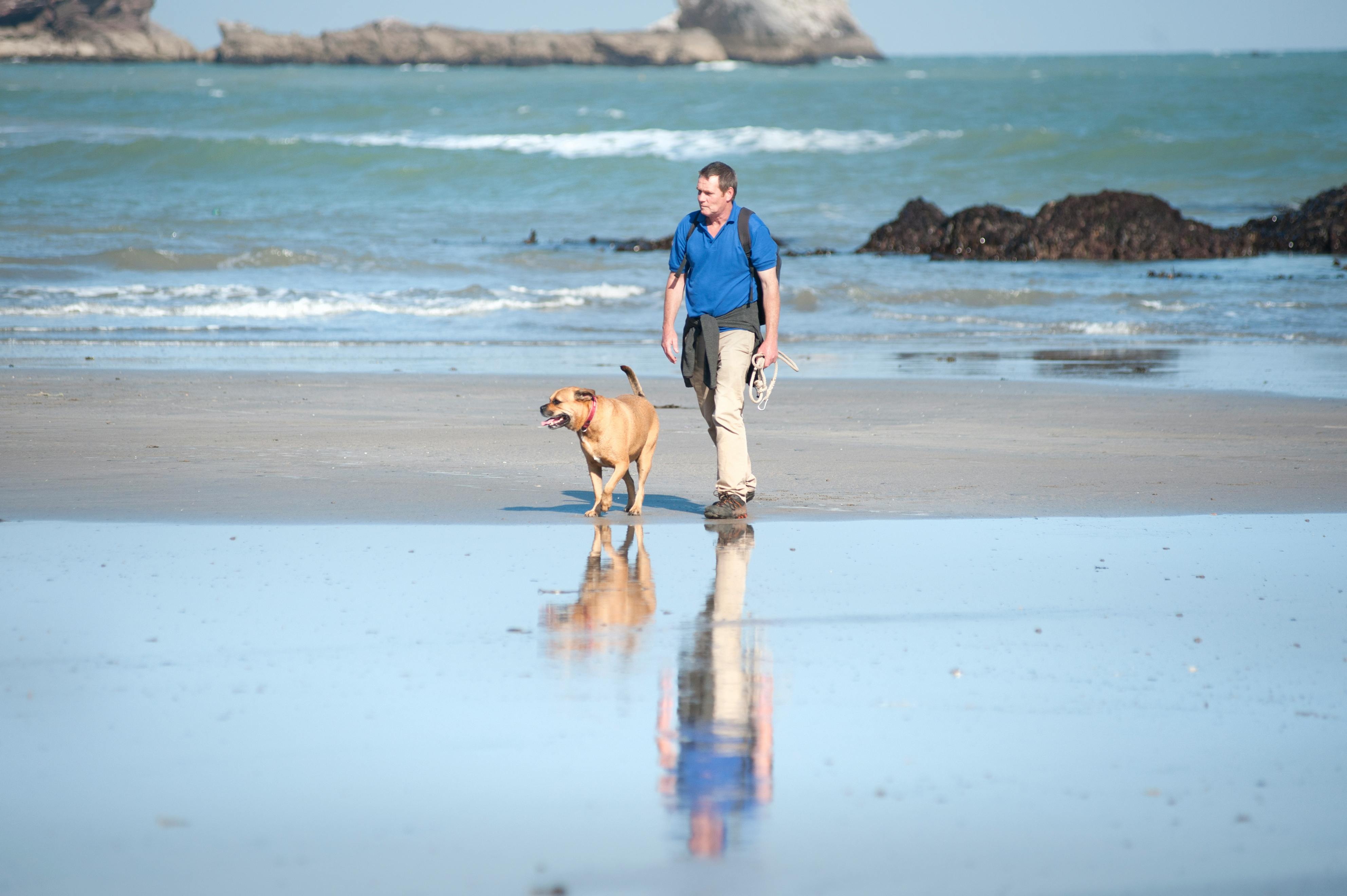 Your Pet Friendly Holiday
