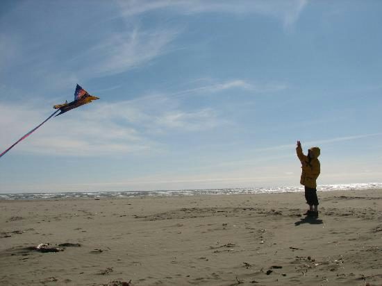 Kite flying