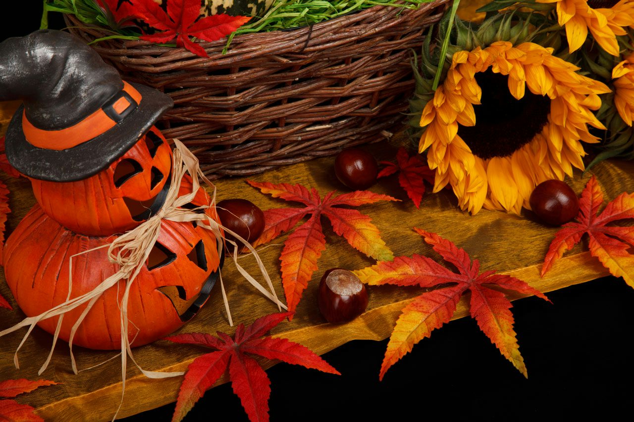 October half term activities in Devon & Cornwall
