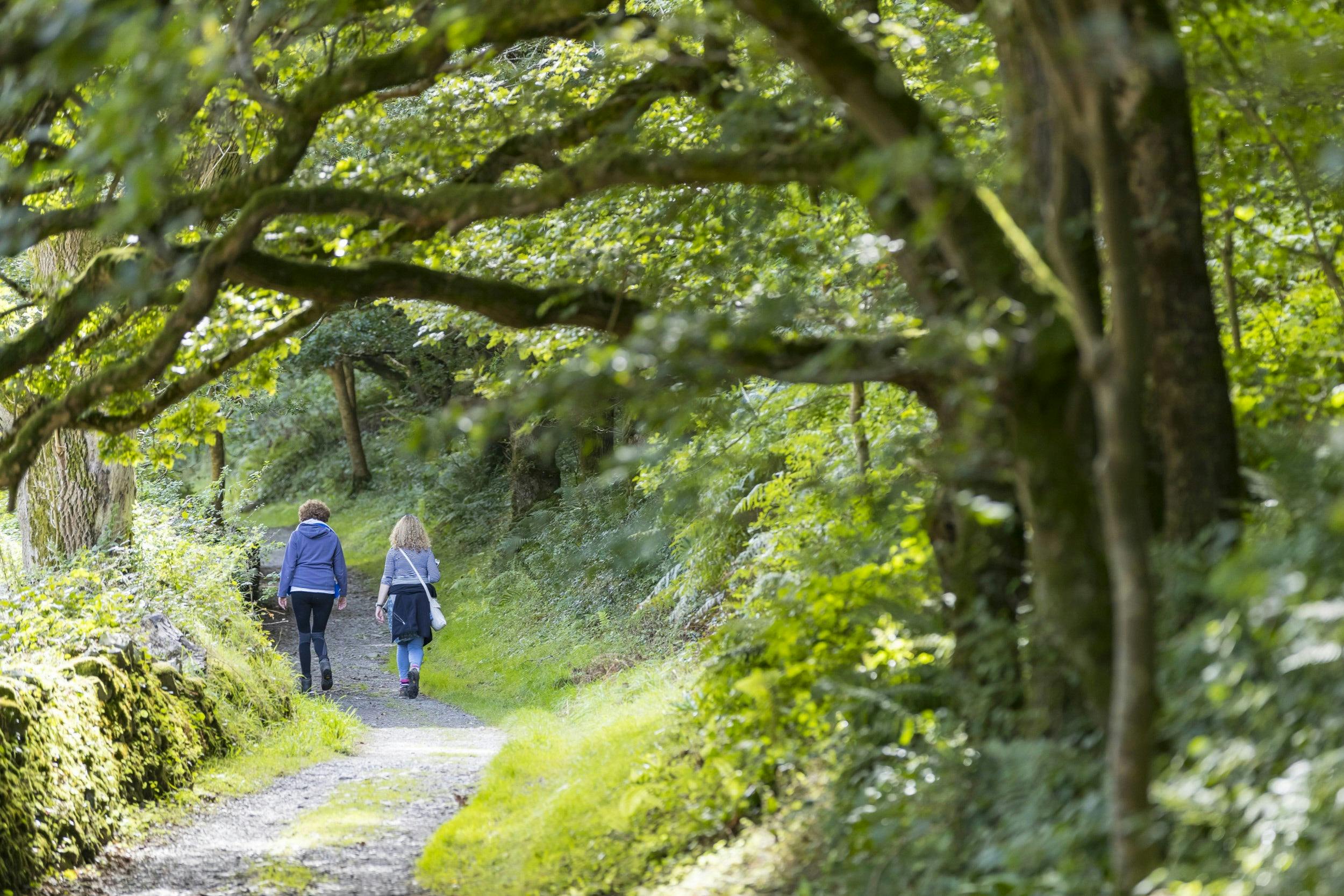Heddon Valley