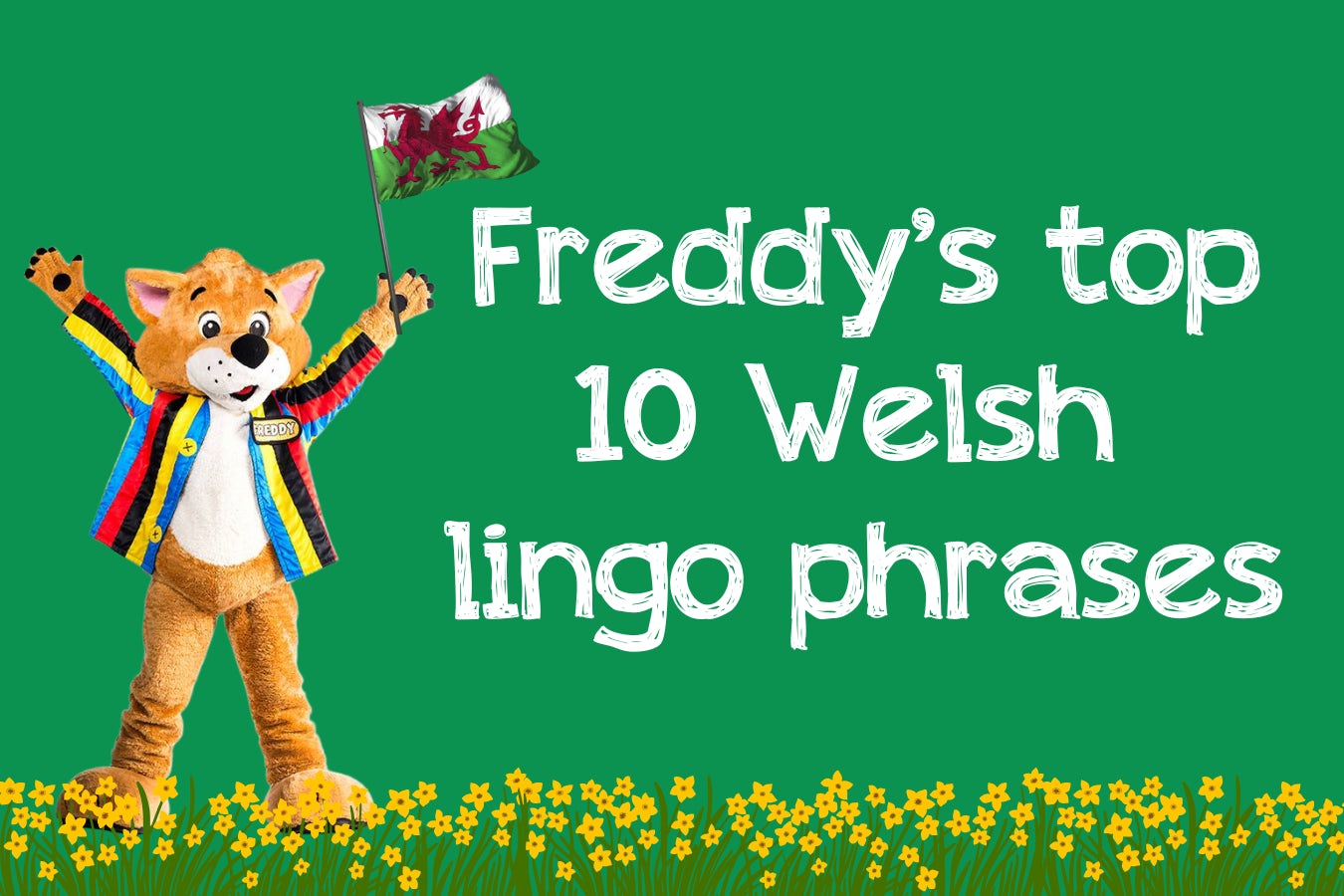Top ten Welsh phrases to learn for a family caravan holiday in Wales