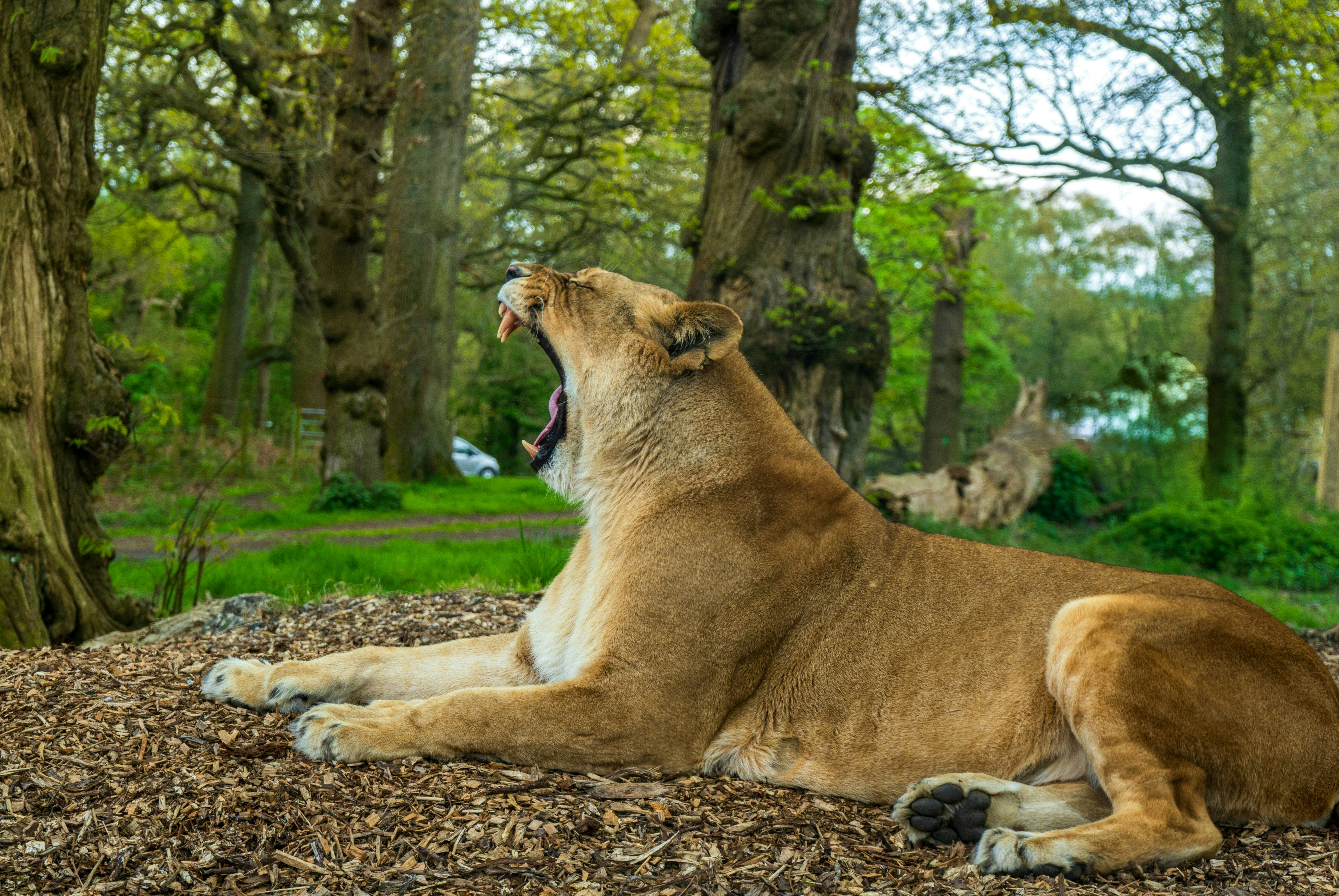 Things to do on a caravan holiday in Brean Somerset
