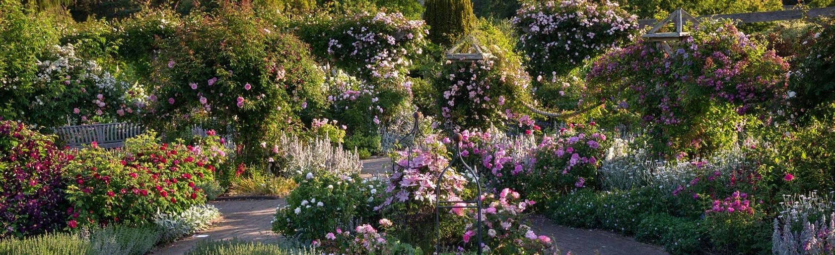 RHS Rosemoor