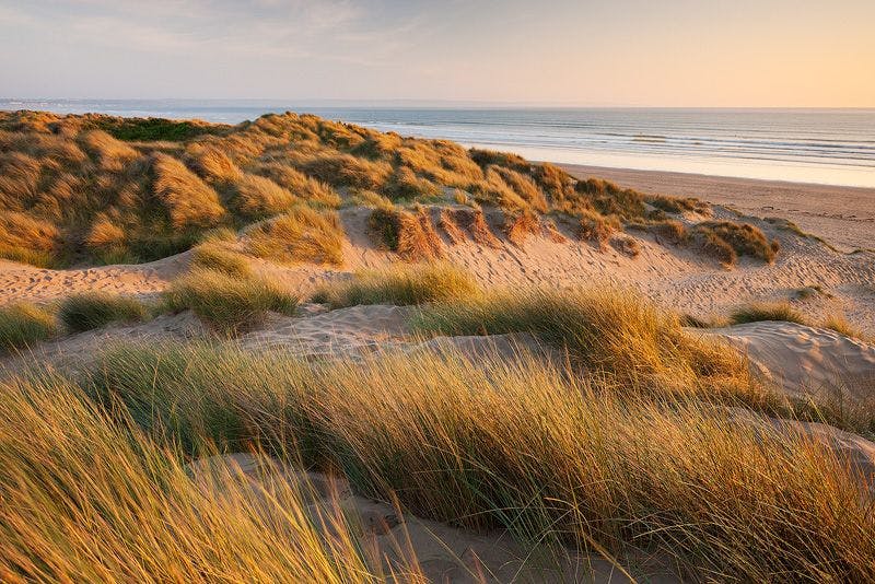 Braunton Burrows