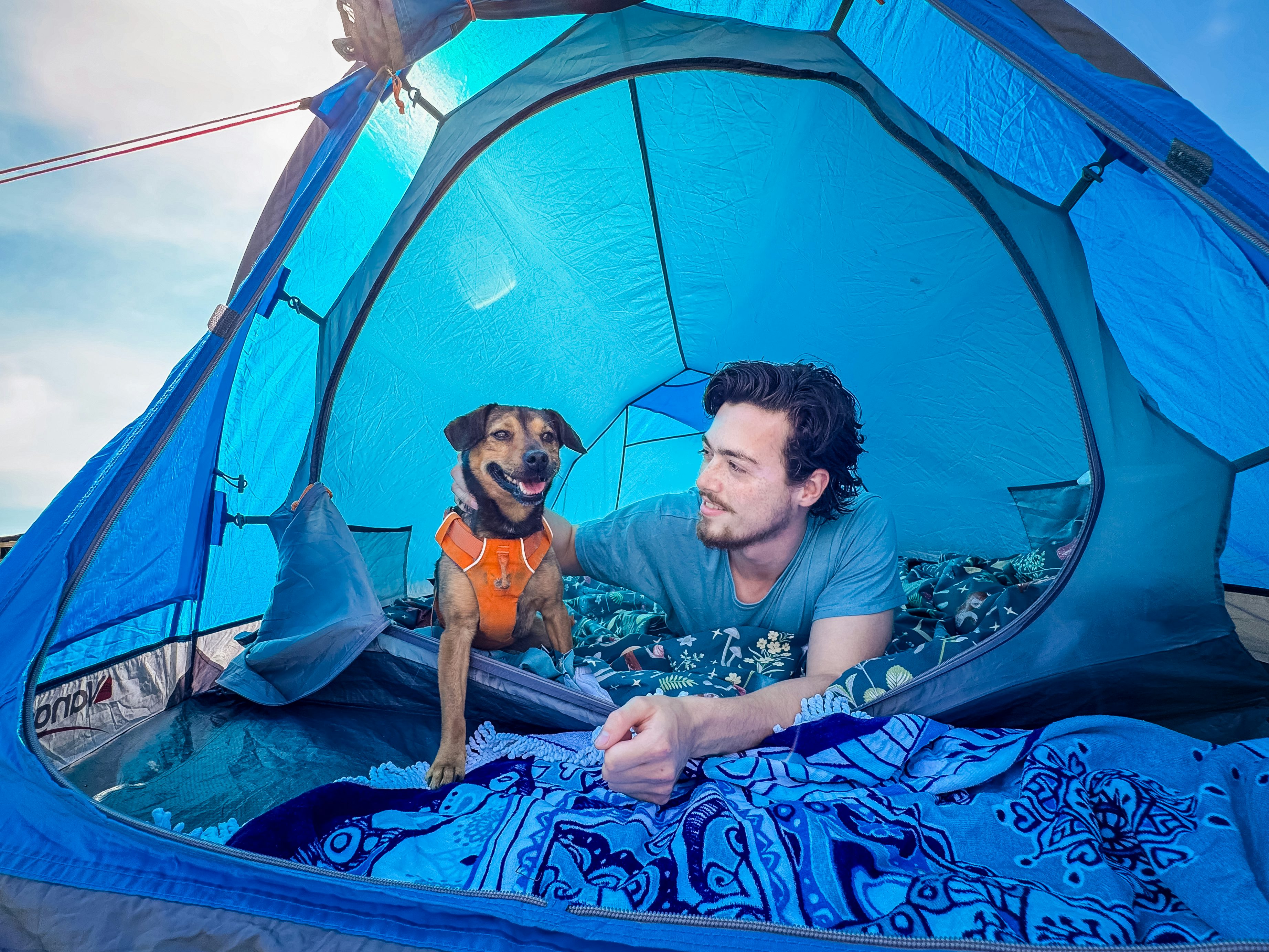 Dog-friendly holidays. Pet-friendly holiday parks. Family holidays UK. Summer holidays.