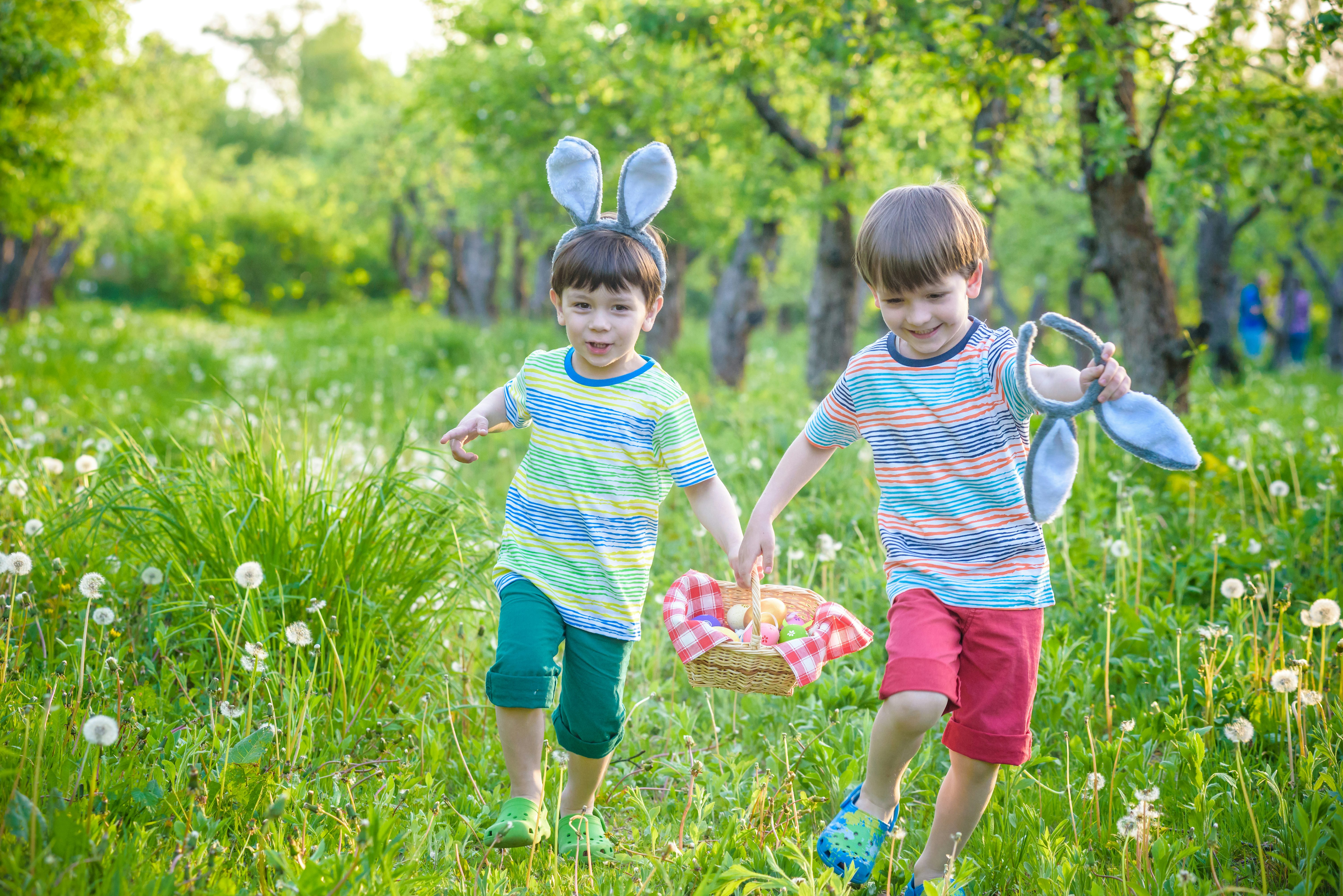Easter entertainment. Dog-friendly holiday parks. Family holidays. Easter breaks.