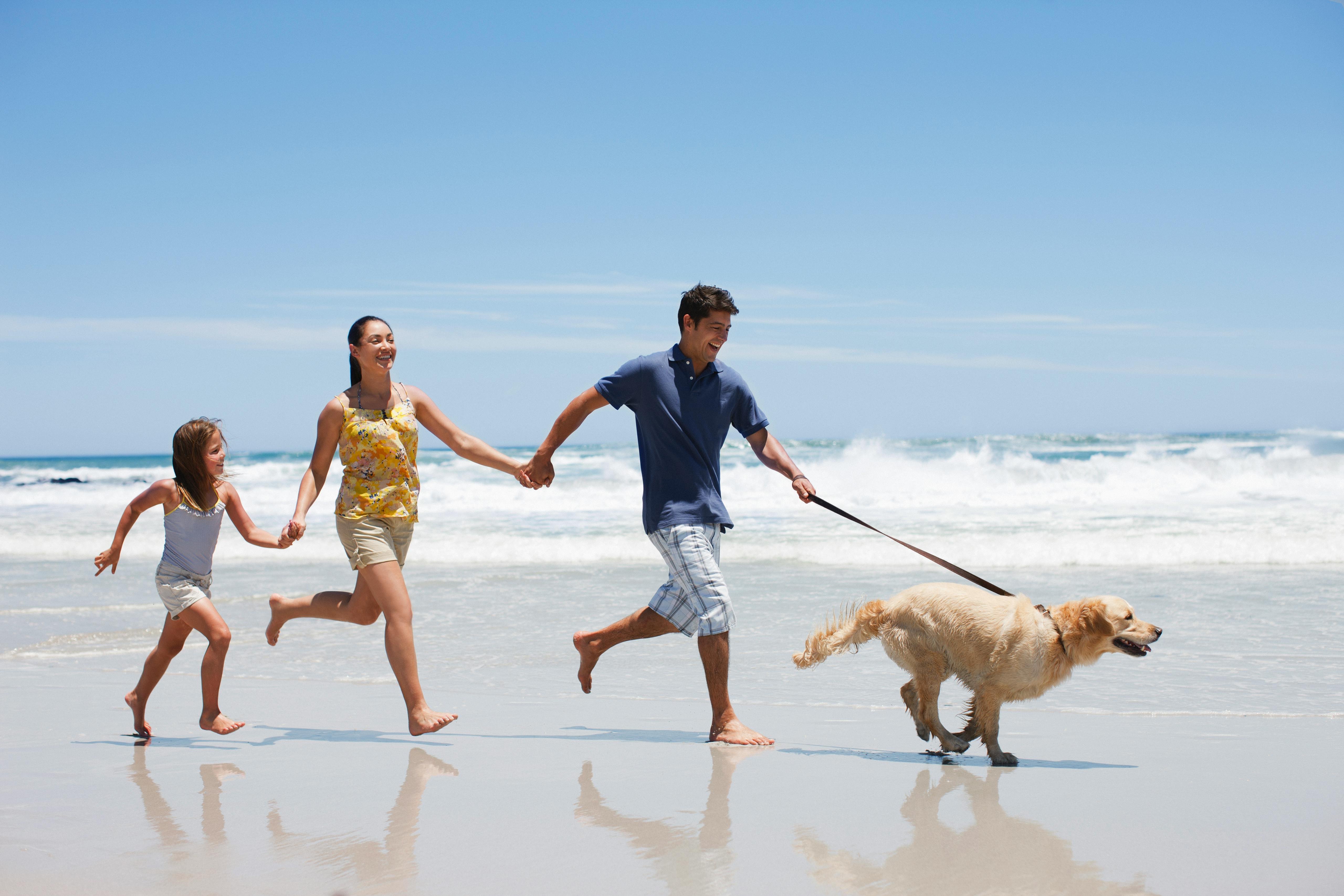 family on holiday at uk holiday park