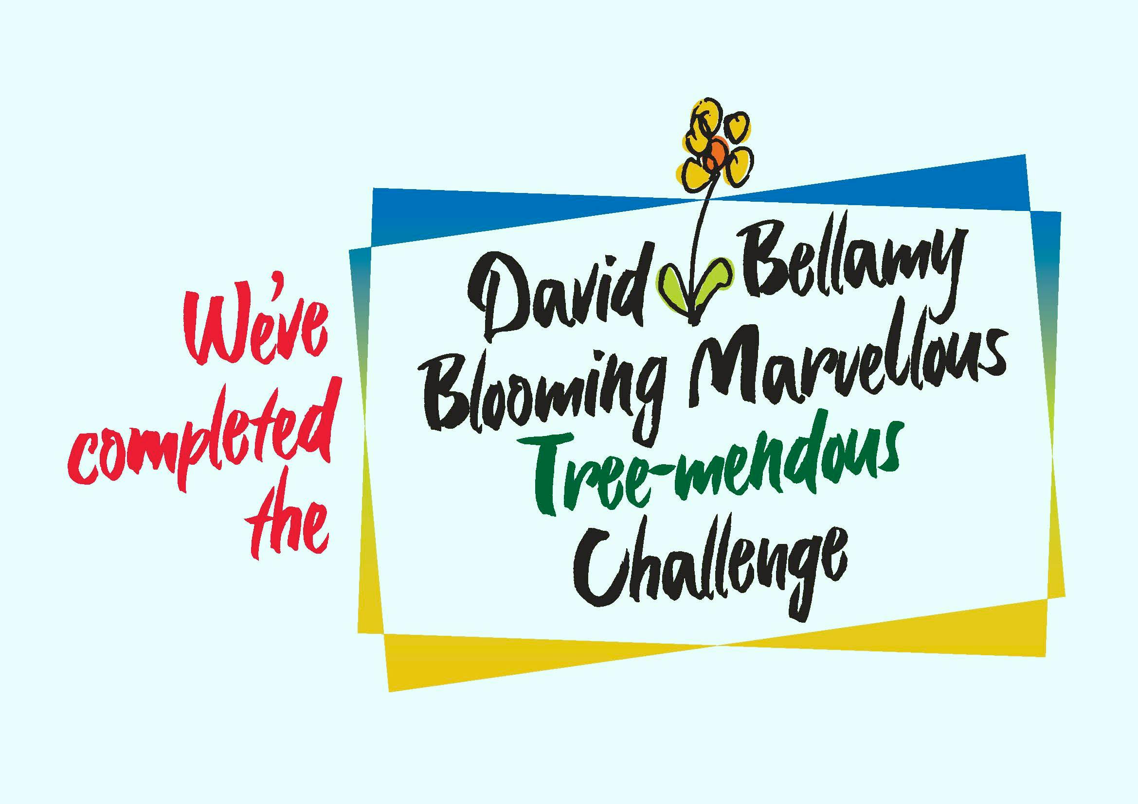 Perran David Bellamy Tree-mendous Challange